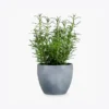 product-image-5_optimized Minim Veniam