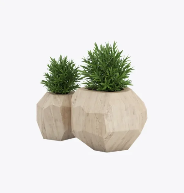 product-image-7_optimized Minim Veniam